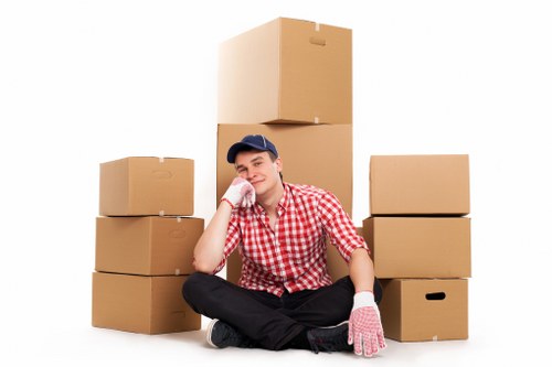 Professional moving and transport support in Foresthill