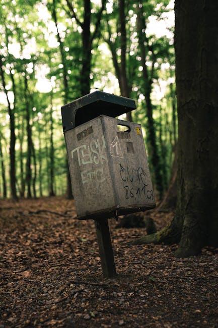 A weathered metal mailbox mounted on a wooden post tilted at an angle in a forested area with tall trees and green foliage in the background. The mailbox has graffiti and stickers on its surface, with a black lid on top. The ground around it is covered with brown soil and fallen leaves, indicating a natural outdoor environment. The scene is illuminated by natural light filtering through the canopy. Although not directly related to house removals, this outdoor setting reflects the type of environment where loading and transport processes may occur during home relocation or furniture transport activities, similar to those undertaken by Man with Van Forest Hill for their removals service category.