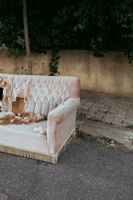 https://manwithvanforesthill.co.uk/blog/bulky-waste-removal-in-forest-hill-sofa-fridge-options/