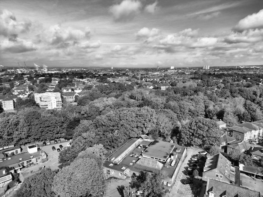 A black and white aerial photograph showing a densely wooded residential area with numerous trees, houses, and apartment buildings. In the foreground, part of a flat-roofed building with a visible skylight and surrounding parking area with several cars is seen near a street. Man with Van Forest Hill's moving vehicle, a white van with company branding, is parked adjacent to a building entrance, with a person in casual clothing loading or unloading large cardboard boxes and wrapped furniture using a trolley and wearing protective blankets. The loading process takes place on the pavement outside the property, which appears to be part of a house or apartment complex. The background shows a broad view of the urban landscape extending towards the horizon, with high-rise buildings, cranes, and a partly cloudy sky, illustrating the logistics involved in home relocation and furniture transport services.