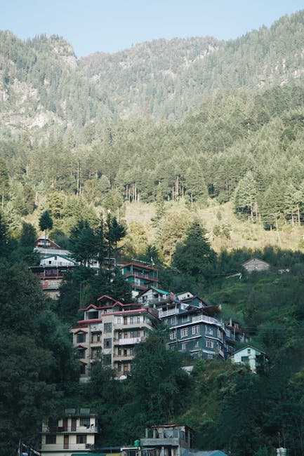A hillside residential area with multiple multi-storey houses and apartment buildings in various shades of grey, white, and red, situated on a sloped terrain surrounded by dense green trees and foliage. The buildings have balconies and large windows, with some partially obscured by trees. The background features a forested mountain with tall coniferous trees under a clear, pale blue sky. The scene is captured during daylight, highlighting the natural setting and the elevation of the houses. This image exemplifies the type of urban residential environment that may require home relocation services such as those provided by Man with Van Forest Hill, especially when planning furniture transport and packing for moving day.