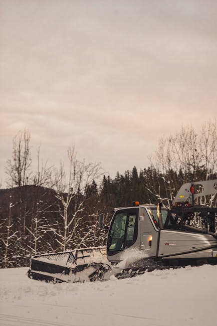 A snow-covered landscape featuring a large, white snowplough vehicle parked on a cleared path, with the front blade partially buried in the snow. The vehicle has a glass-enclosed cabin, visible side mirrors, and an orange warning light on top. Behind the snowplough, there is a dense forest of leafless trees and evergreen trees, with a cloudy, overcast sky overhead. While the scene depicts winter weather conditions, it is unrelated to house removals or moving services, and the image does not include any furniture, boxes, or vehicles associated with relocation tasks.